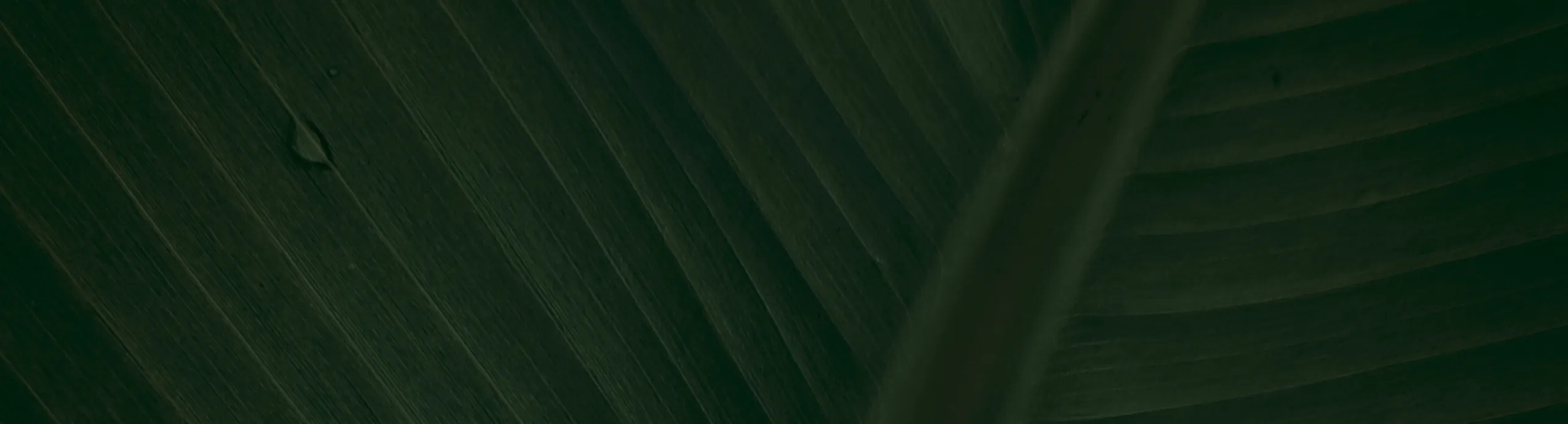 Brass Sink Cock Concealed Body Wall Mounted